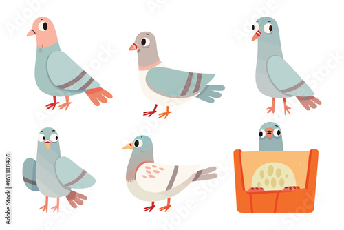 Cartoon Pigeons in various poses: A delightful illustration featuring six cartoon pigeons in assorted poses, showcasing their charming characteristics with a touch of whimsy.