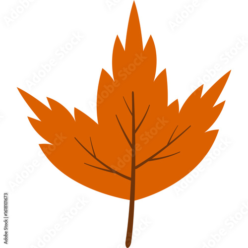 Autumnal Leaves Illustration