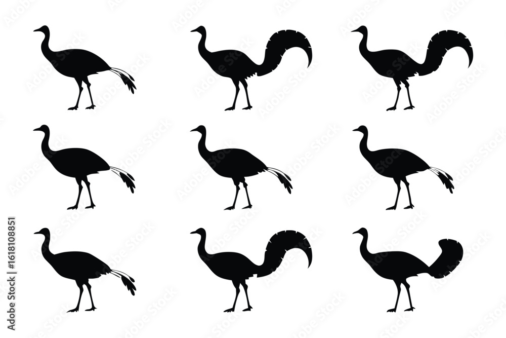 Obraz premium Bird Silhouettes: A stylish composition showcases a series of elegant bird silhouettes, each exuding grace and sophistication, rendered in pure monochrome.