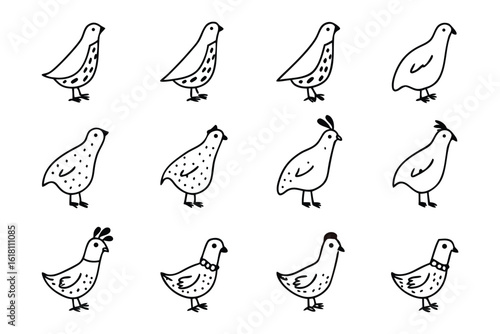 Quail Sketches: A series of adorable hand-drawn sketches capturing the endearing charm and unique features of these fascinating birds.