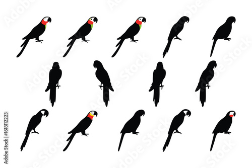 Parrots Silhouette: The striking silhouettes of parrots, perched in various positions, showcase the captivating form of these tropical birds. This artful arrangement, set against a flat background.