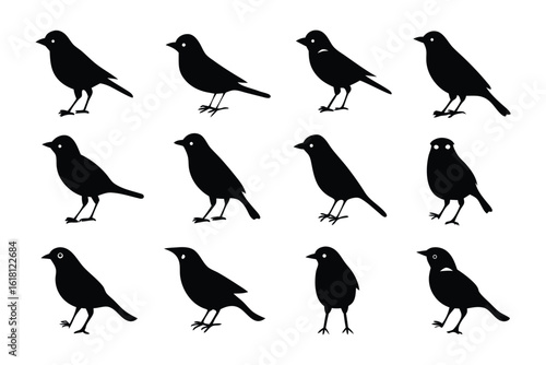 Black Bird Silhouettes : A collection of sleek, black bird silhouettes is meticulously arranged. These artful outlines represent the elegance and simplicity of avians in graphic design.