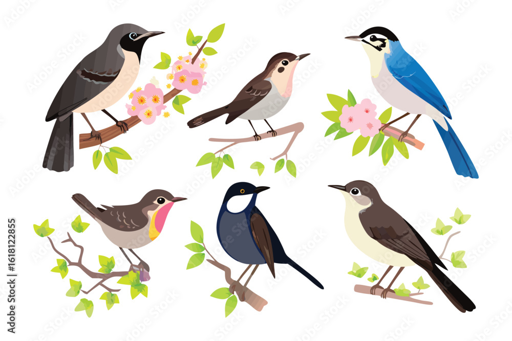 Naklejka premium Charming Avian Portraits: A captivating collection of adorable songbirds perches gracefully on delicate flowering branches. This illustrative composition celebrates nature's exquisite detail.