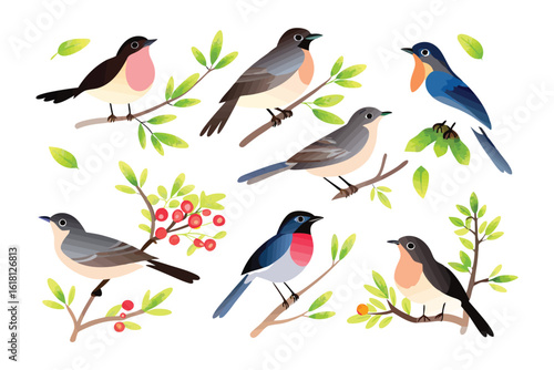 Colorful Avian Collection: A vibrant collection of various bird species perched gracefully on branches. Showcasing a kaleidoscope of colors, textures, and designs.