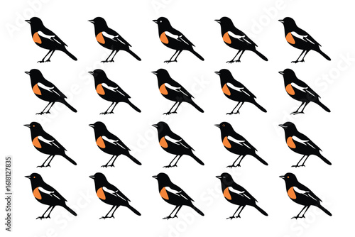 Geometric Bird Grid: A symmetrical display of birds in a clean geometric pattern, emphasizing the precision and order of nature and design.