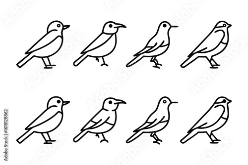 Illustrative Bird Collection: A series of simplified, linear illustrations of various birds, perfect for design projects.