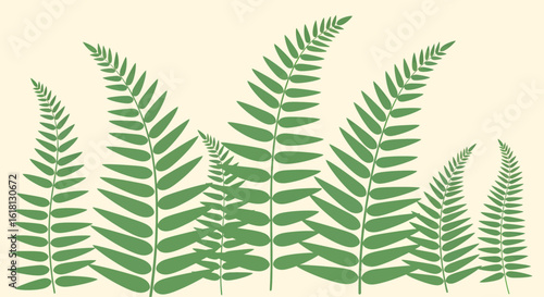 A beautiful illustration of vibrant green fern leaves arranged in a graceful pattern, evoking a sense of nature and tranquility