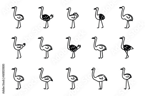 Ostrich Array: A delightful array of simple ostrich illustrations, providing a playful exploration of this fascinating bird, perfect for educational materials or whimsical designs.