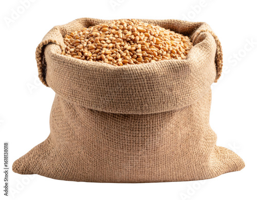 Wheat grain in burlap bag isolated on white and transparent background