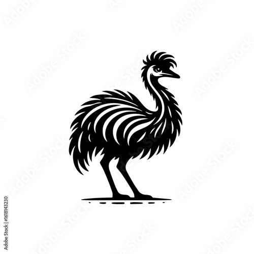vector illustration of an ostrich