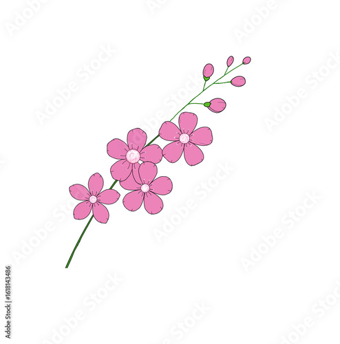 pink flower background