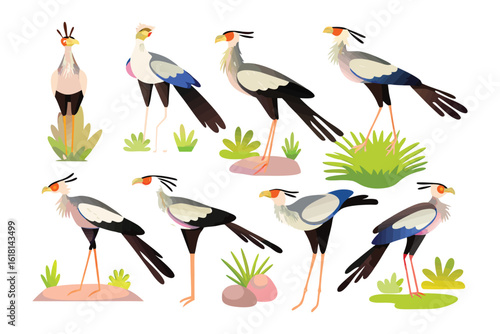 Secretary Bird Illustration Set: A detailed and elegant illustration set showcasing the distinctive secretary bird in various poses, perfect for educational or decorative use.