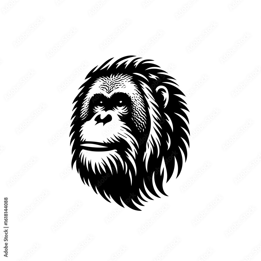 Fototapeta premium lion vector illustration