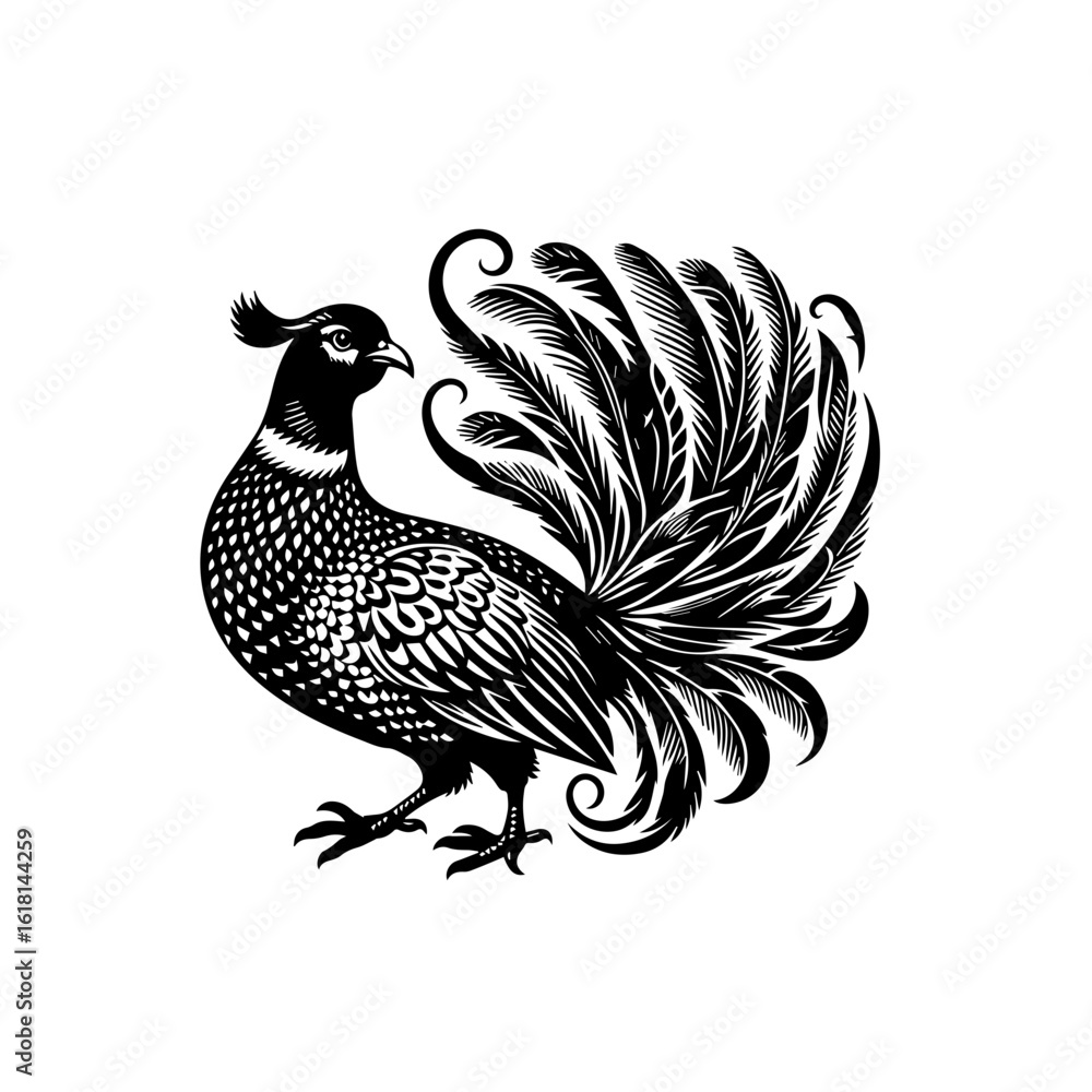 Fototapeta premium vector illustration of a bird