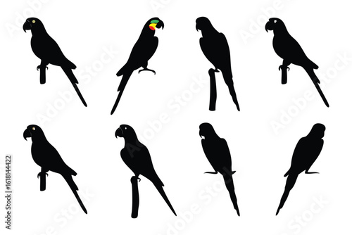 Silhouette Serenade: A captivating ensemble of parrot silhouettes perches with poised elegance, a symphony of dark forms against a background, evoking an exotic allure and avian grace.