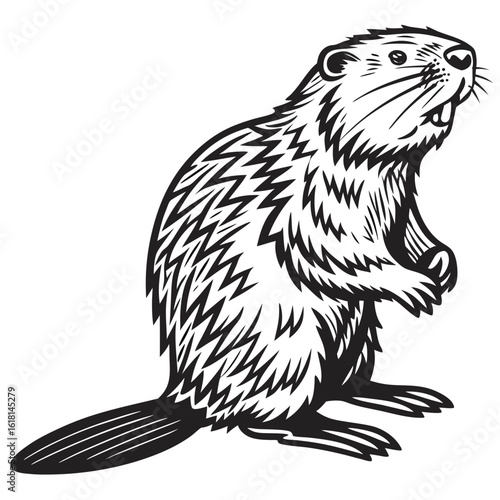 illustration of a marmot