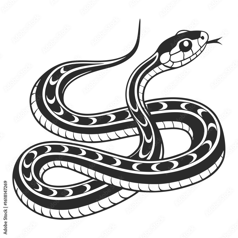 Fototapeta premium black and white snake