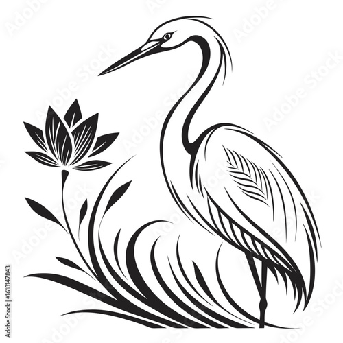 black and white pelican