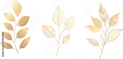 Wallpaper Mural Elegant Gold Leaf Branches on White Background for Wedding Invitations and Design Torontodigital.ca