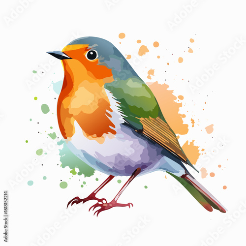 Stylized European Robin illustration with vibrant orange breast and watercolor splashes.