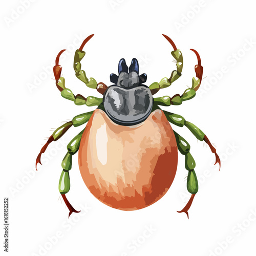 Detailed illustration of an engorged parasitic tick with a large orange abdomen, grey scutum, and green segmented legs.