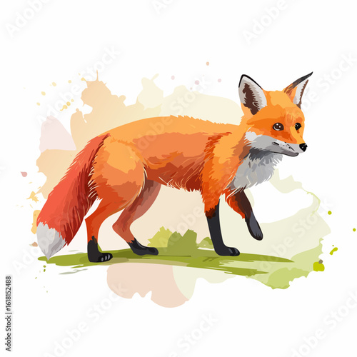 Vibrant red fox illustration in a walking pose, with detailed orange fur and black paws.