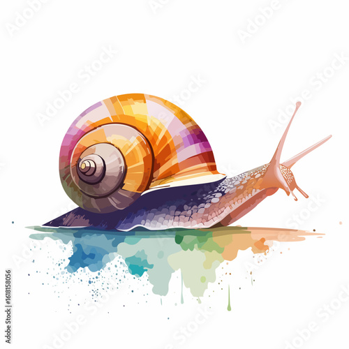 Vibrant watercolor snail illustration with a colorful, spiraled shell and artistic splashes.