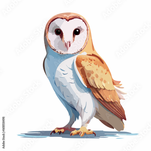 Elegant barn owl illustration with a white heart-shaped face, brown wings, and large dark eyes, standing and looking forward.