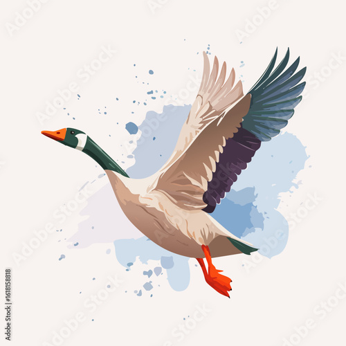 Elegant vector illustration of a flying goose with colorful plumage and orange feet.