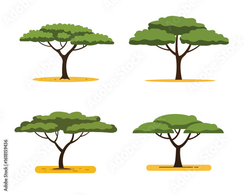 Photo of four african savanna trees are isolated on white background
