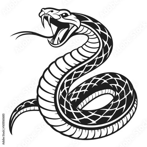 Black and white illustration of a fierce snake coiled ready to strike aggressive reptile design tattoo or logo concept vector drawing
