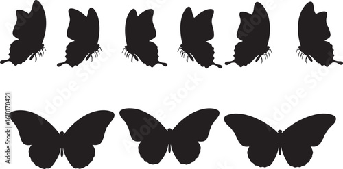Black butterfly silhouettes flying and resting white, butterfly, silhouette, black, white, flying, resting, insect, wings, nature, pattern, design, graphic, illustration, creature, lepidoptera