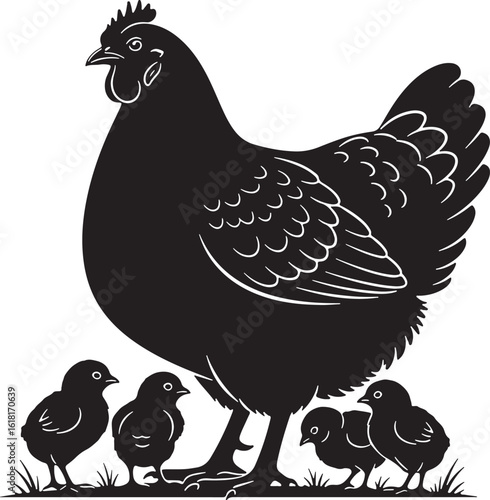 Black hen with chicks standing on grass chickens poultry, hen, chicks, chickens, poultry, birds, farm animals, domestic animals, black, white, silhouette, grass, nature, family, mother, babies, cute, 