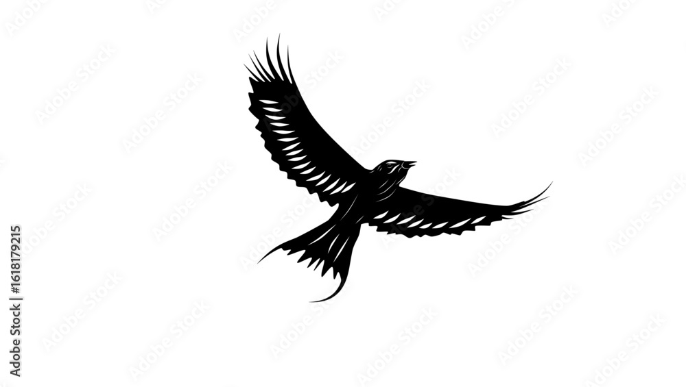 Fototapeta premium Lilac-breasted Roller bird, black isolated silhouette