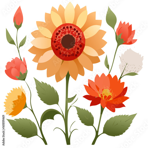 a sunflower