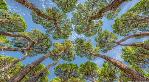 branches of a tree with leaves