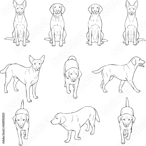 Create a kinds of deferent CAD Drawings. Set dogs outlines Sitting, walking. Top view. vector art with white background.