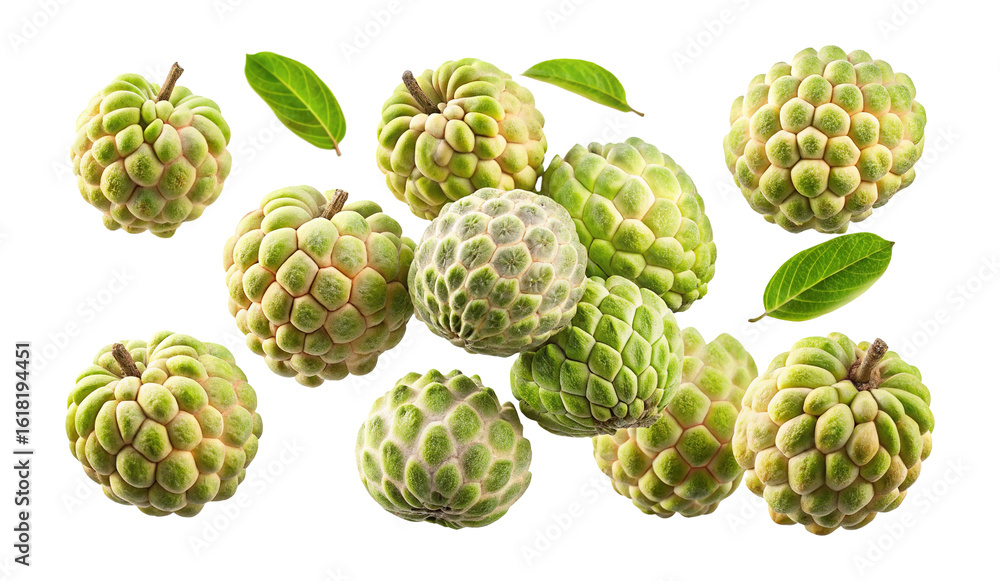 Fototapeta premium Beautiful arrangement of sugar apples and leaves on a clean white background