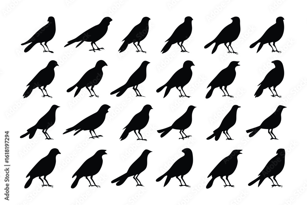 Obraz premium A Flock of Silhouetted Birds: A mesmerizing pattern of black birds is arranged in neat rows, casting dark silhouettes against the bright background. It evokes a sense of uniformity and subtle mystery.
