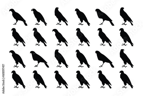 Silhouette of a Bird: A striking pattern of elegant bird silhouettes gracefully stand against the plain backdrop, creating a visual symphony of shadows and forms.