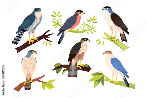 Hawk Variety on Branches: A vibrant collection showcases diverse hawk species perched elegantly on leafy branches, each with unique feather patterns, offering a glimpse into avian diversity.