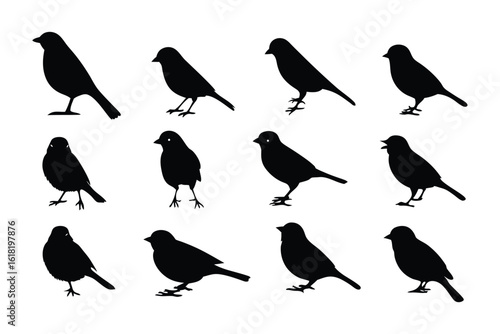 Avian Array: A collection of meticulously crafted silhouettes of a bird, showcasing the simple elegance and distinct form of avian beauty.