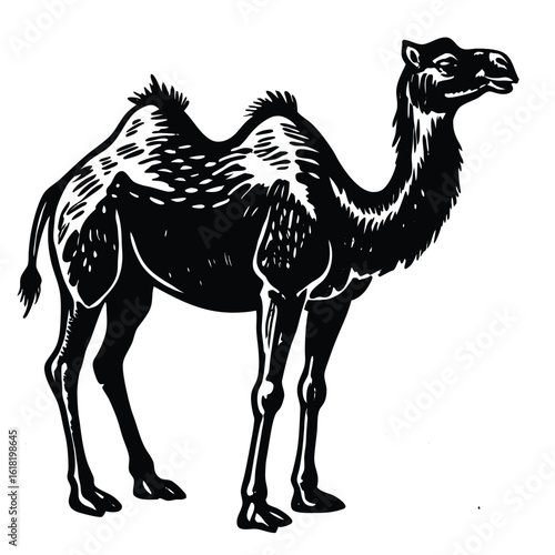 black and white camel silhouette illustration vector