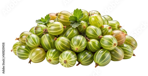 Wallpaper Mural Freshly Picked Green Gooseberries with Leaves on a White Background for Sale Torontodigital.ca