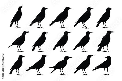 Black Silhouette Flock: A stark, minimalist silhouette of a flock of black birds, arranged in a visually striking pattern, against a clean backdrop, evoking a sense of subtle grace and natural unity.