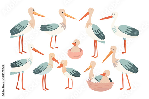 Storks' Gathering: A delightful illustration showcases a gathering of storks. The birds, with their elegant forms and striking beaks, create a charming avian scene.