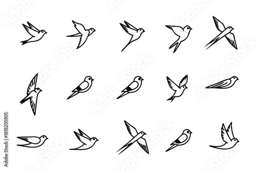 Elegant Sparrow Illustrations: A series of delicate line art illustrations of a graceful sparrow, captured mid-flight and in various poses.
