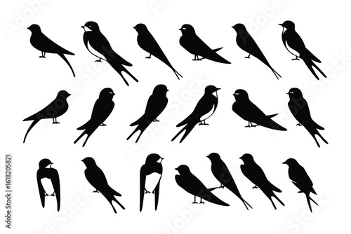 Swallow silhouettes: A series of swallows in silhouette create a sense of movement and energy, conveying grace and the joy of flight. 