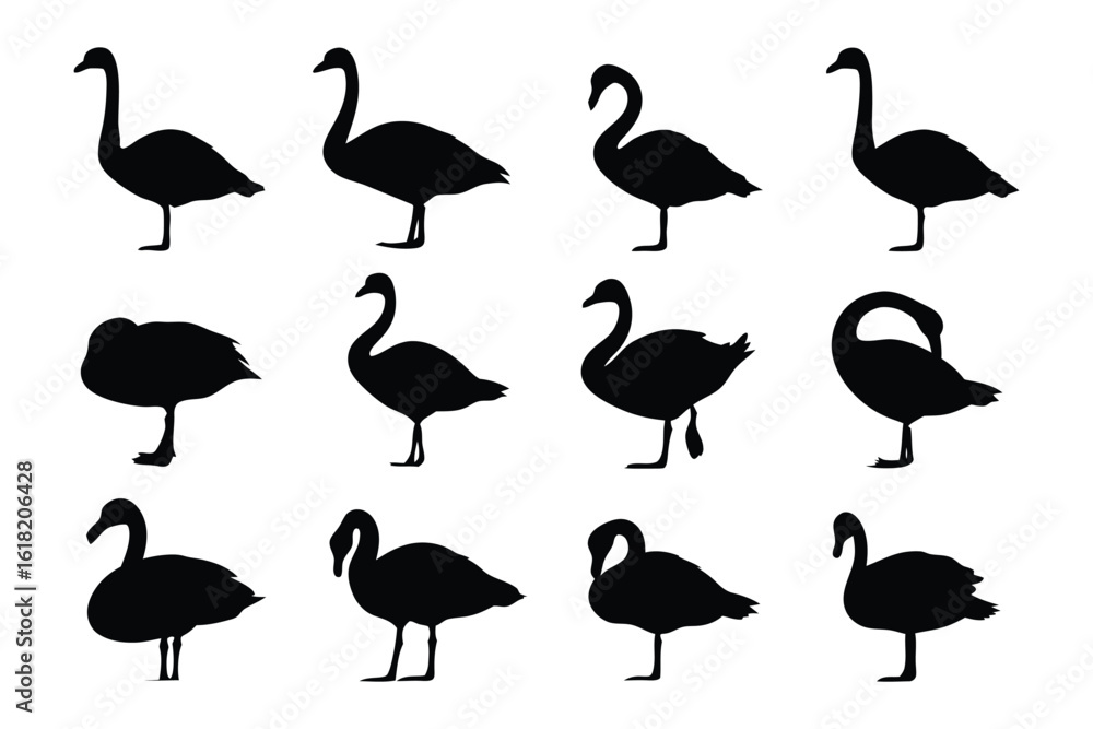 Obraz premium Swan Silhouettes: An artistic collection of swan silhouettes in varying poses, from graceful profiles to intimate moments, perfect for graphic design elements and showcasing natural elegance.