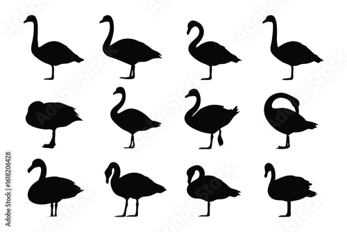 Swan Silhouettes: An artistic collection of swan silhouettes in varying poses, from graceful profiles to intimate moments, perfect for graphic design elements and showcasing natural elegance.